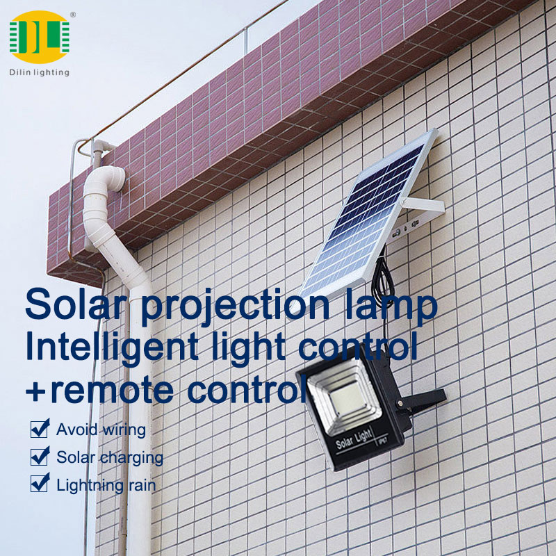 DL-S921 LED Solar Streetlight Detai